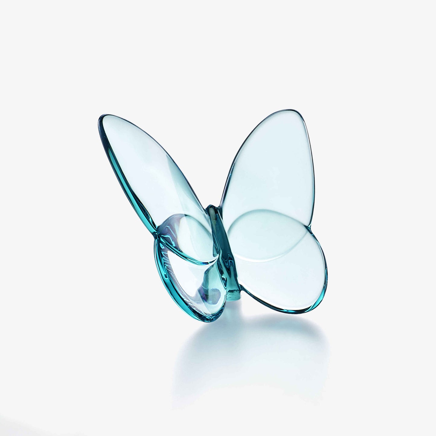 Papillon Lucky Butterfly