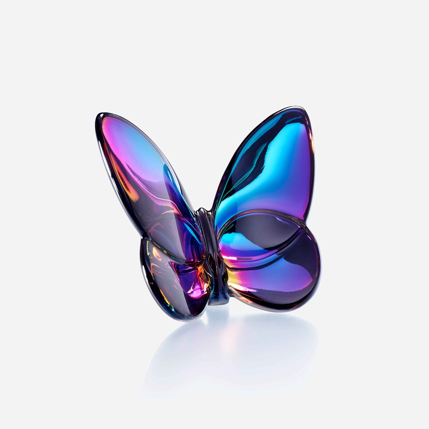 Papillon Lucky Butterfly