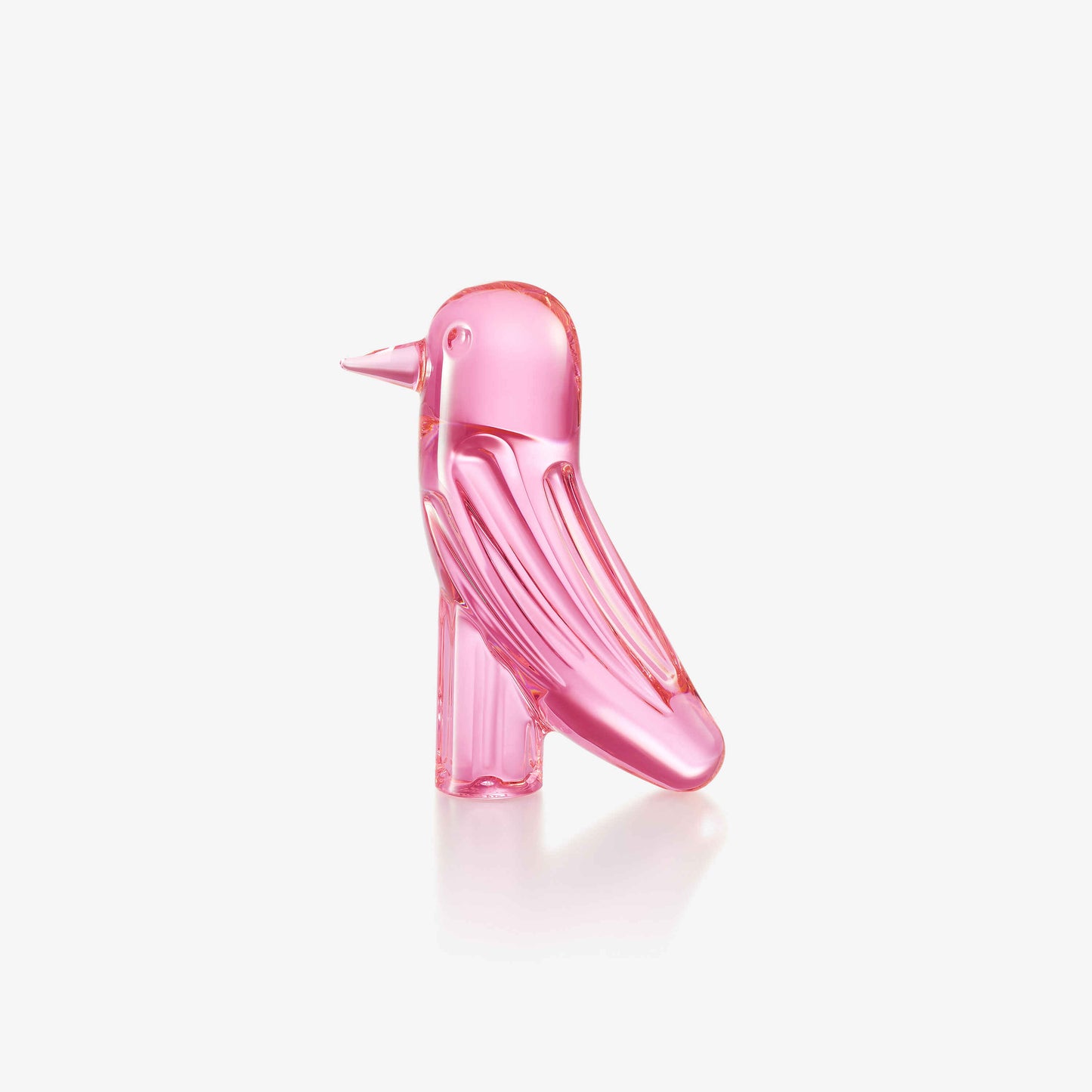 Faunacrystopolis Bird
