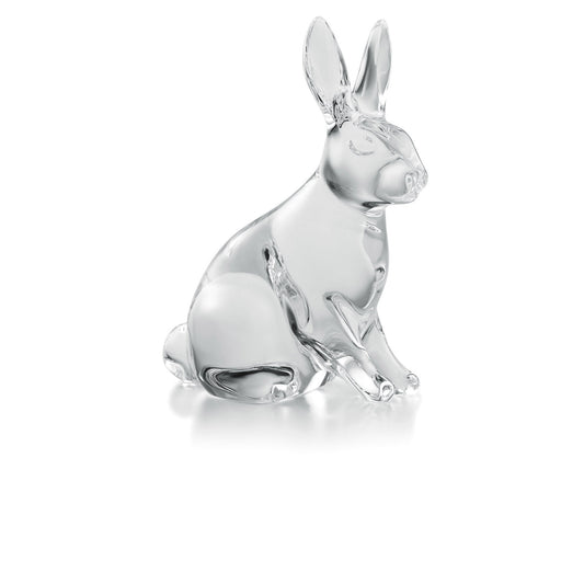 Clear Rabbit 2023