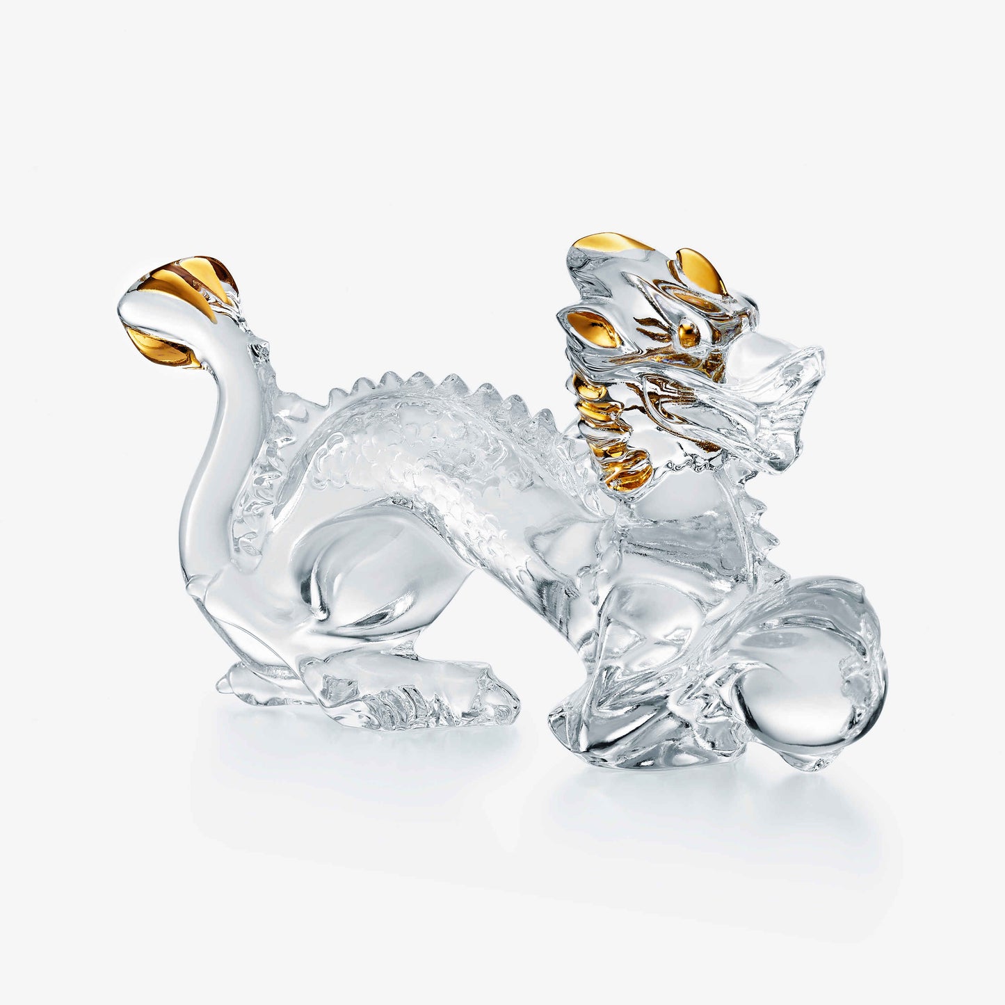 Zodiaque Dragon Gold 2024