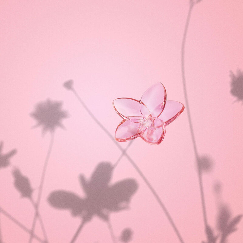 The Bloom Collection Pink Bloom