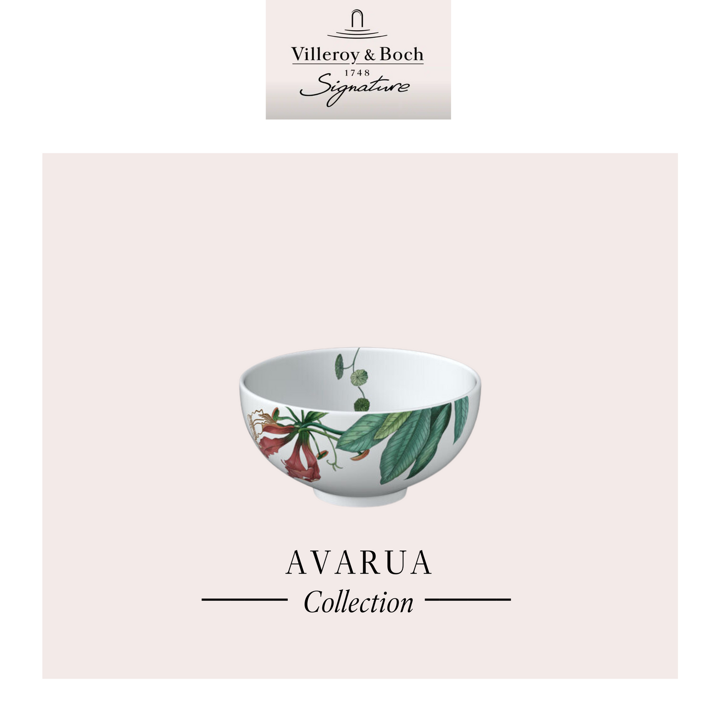 Avarua Soup Bowl, Box of 6*