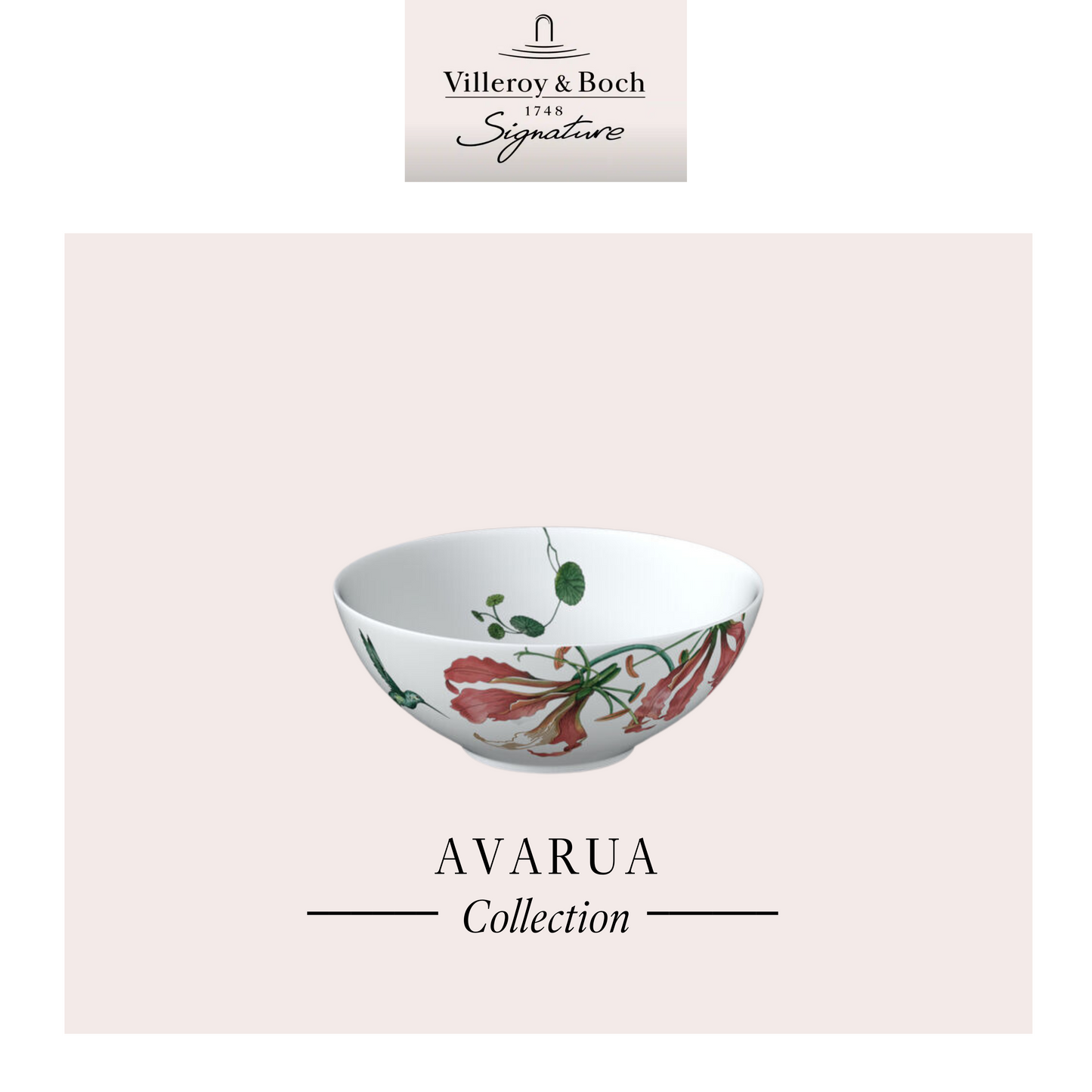 Avarua Bowl, Box of 6*