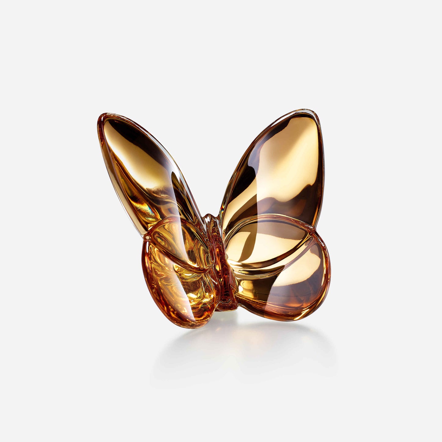 Papillon Lucky Butterfly, Gold