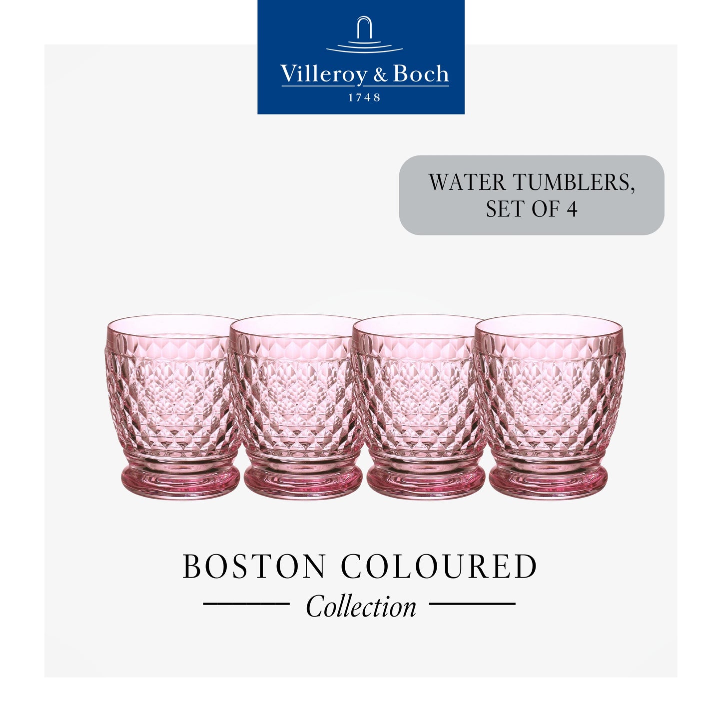 Boston Tumbler Rose, Box of 4