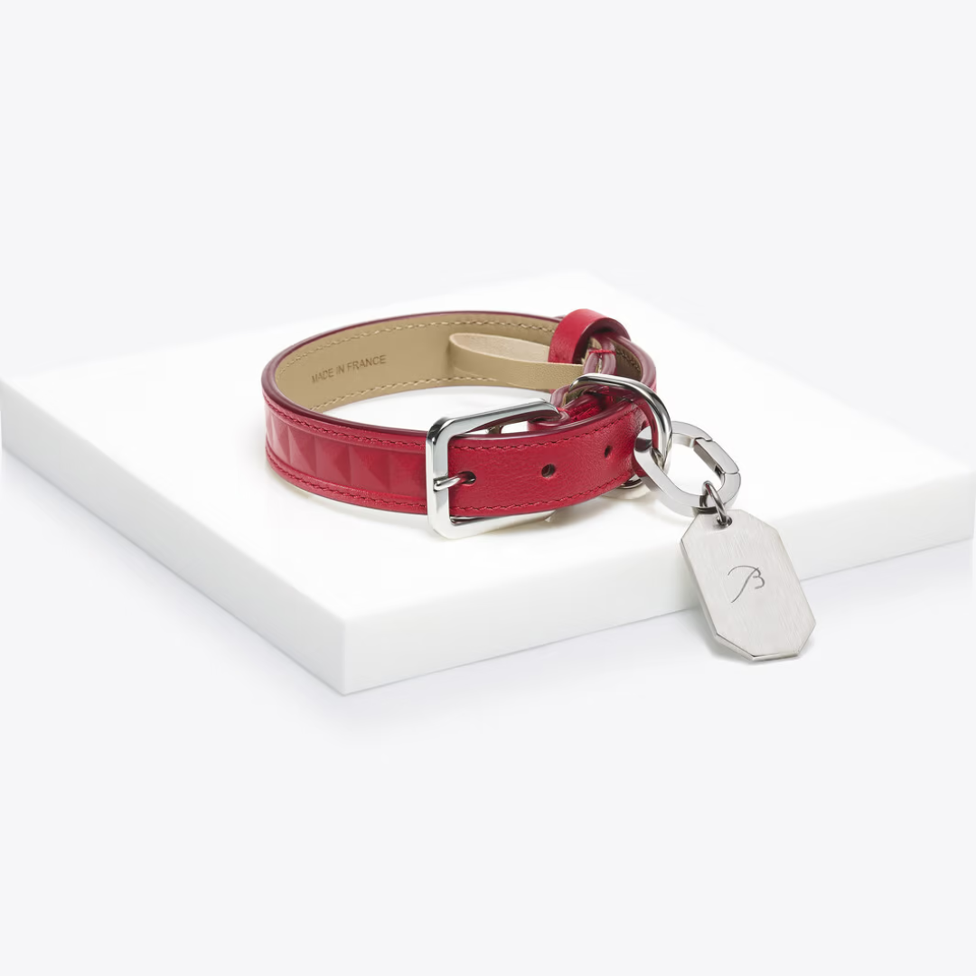 Louxor Pet Collar S