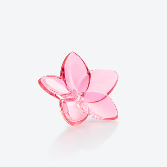 The Bloom Collection Pink Bloom